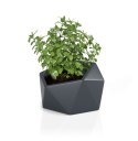 Designerska donica MONUMO VESARI Antracytowa