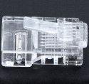 RJ1A Końcówka rj45 (100szt.)