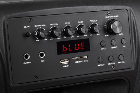 Aktywna kolumna głośnikowa (z 2 mikrofonami bezprzewodowymi UHF, SD, Bluetooth, FM, USB) 60 Watt Aktywna kolumna głośnikowa (z 2 mikrofonami bezprzewodowymi UHF, SD, Bluetooth, FM, USB) 60 Watt