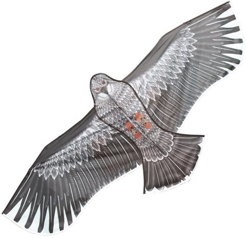 AG667C Latawiec xxl orzeł 200cm AG667C Latawiec xxl orzeł 200cm