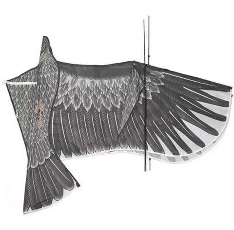 AG667C Latawiec xxl orzeł 200cm AG667C Latawiec xxl orzeł 200cm