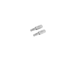 Końcówki wkrętarskie - torx t25/25 (2szt.)