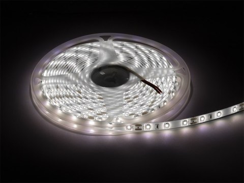 70-731# Taśma led biały zimny 2835 5m/300wodoodporna 70-731# Taśma led biały zimny 2835 5m/300wodoodporna